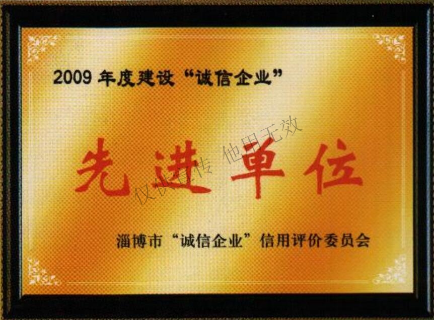 16、2009年度建设“诚信企业”先进单位.jpg