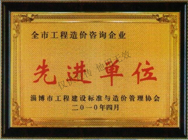 14、2010年度全市工程造价咨询企业“先进单位”.jpg