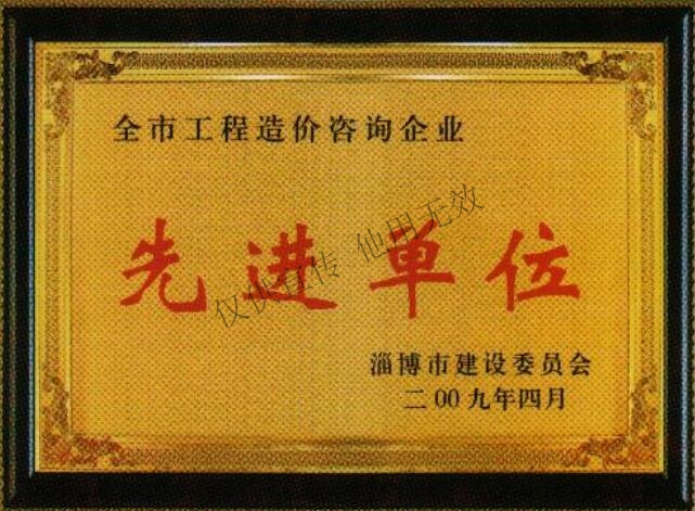 15、2009年度全市工程造价咨询企业“先进单位”.jpg