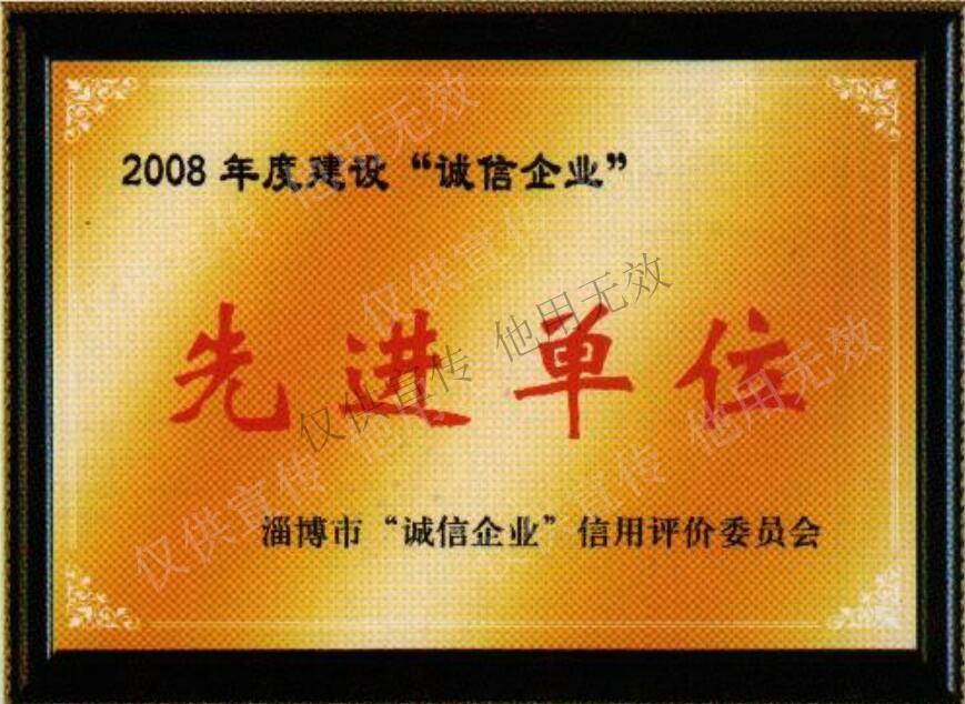 18、2008年度建设“诚信企业”先进单位.jpg